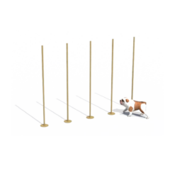 เครื่องเล่นสนามกลางแจ้ง Dog Playground ฐานวิ่งสลับ